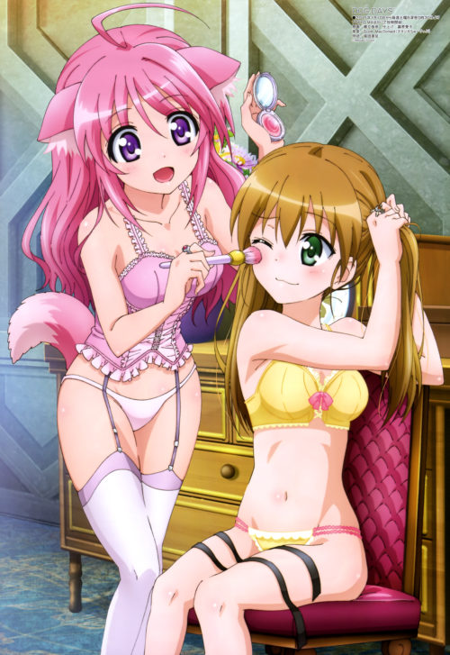 メイン画像